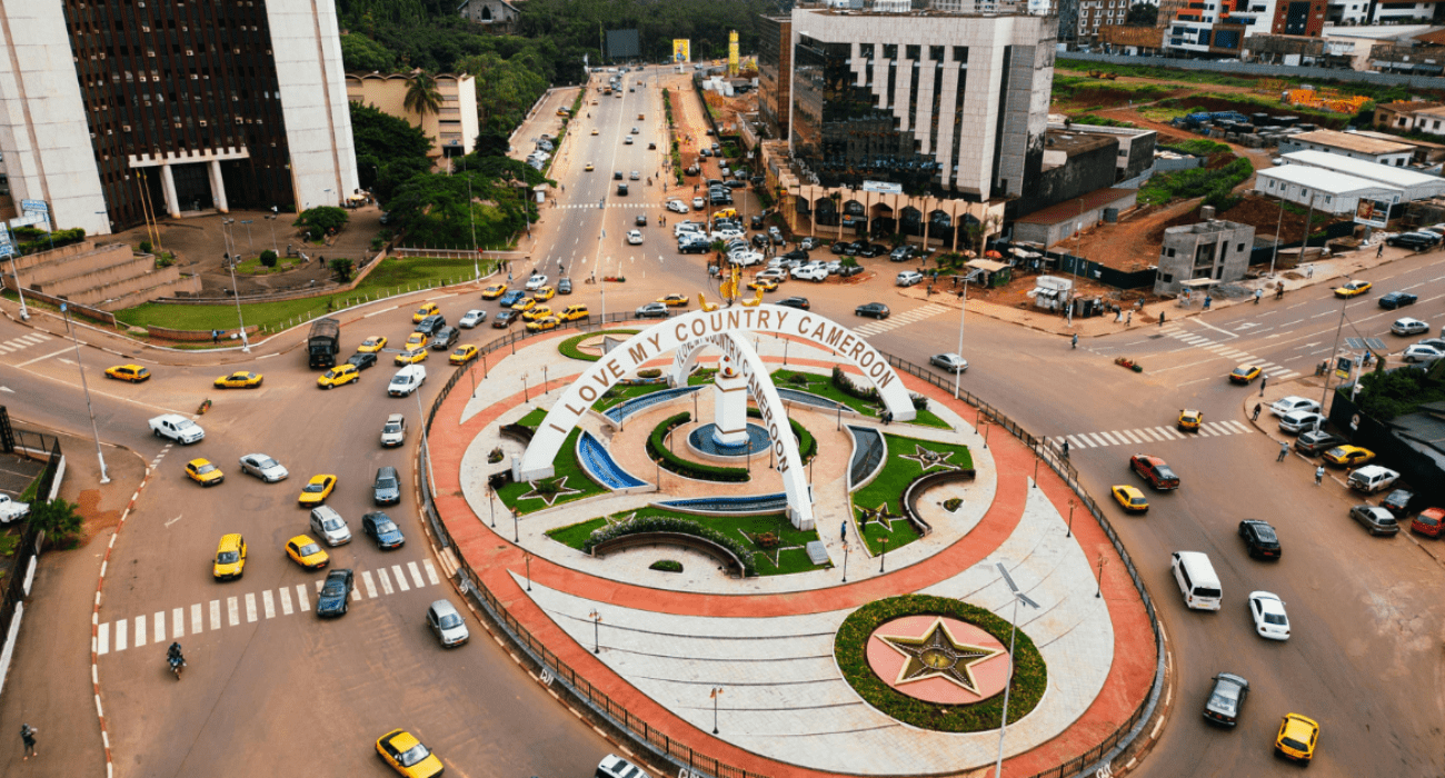 INDIA-CAMEROON BILATERAL TRADE