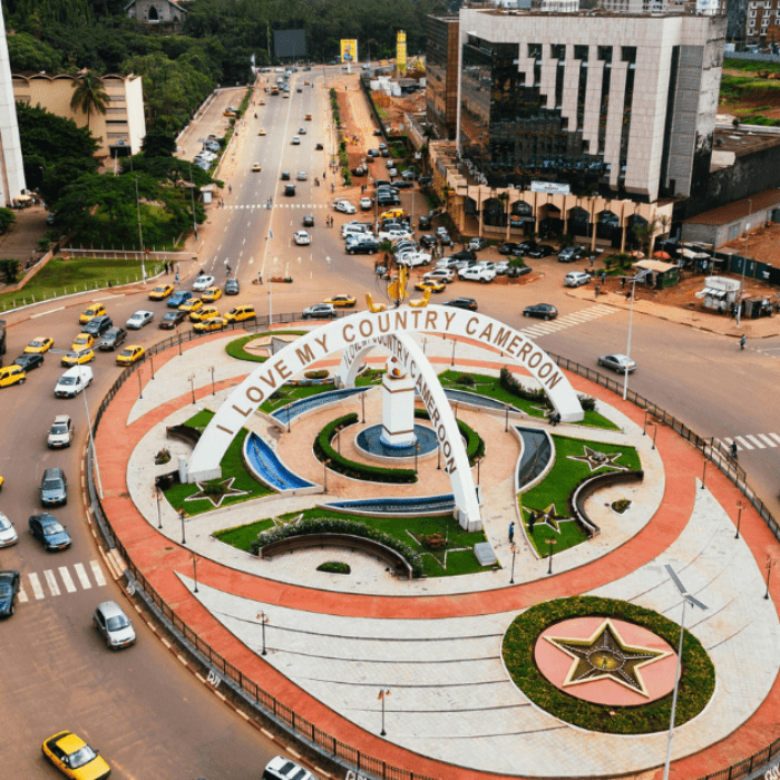 INDIA-CAMEROON BILATERAL TRADE